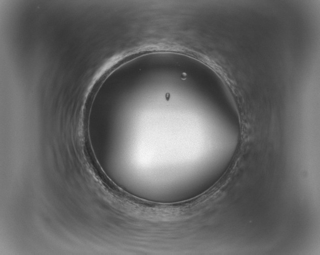 X0000078840008200611131200