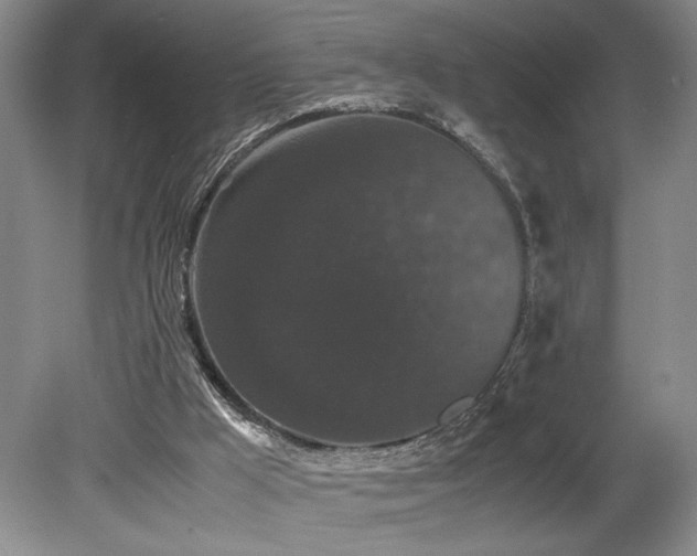 X0000078840009200611131200