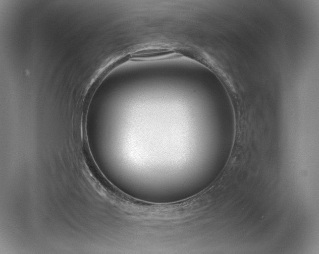 X0000078840011200611131200