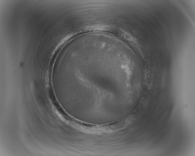 X0000078840012200611131200