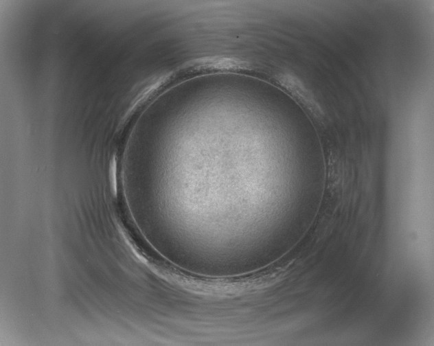 X0000078840014200611131200