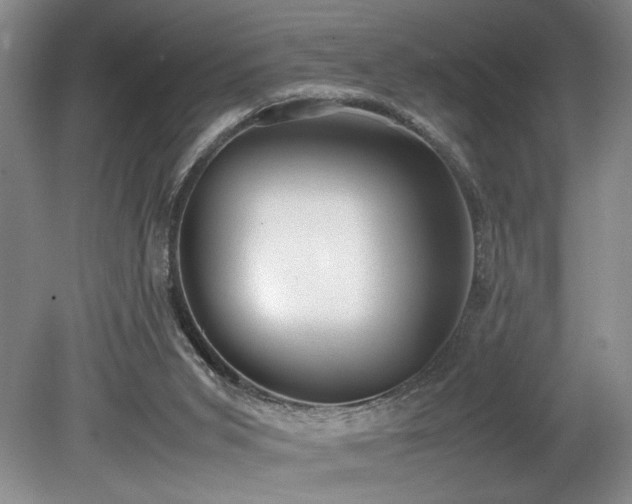 X0000078840015200611131200