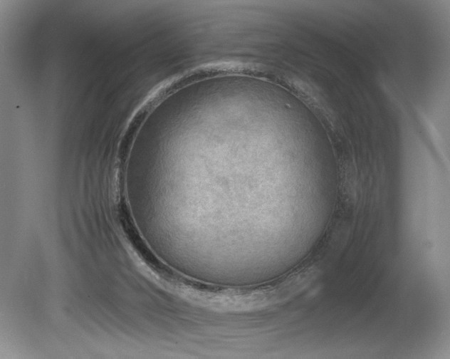 X0000078840016200611131200