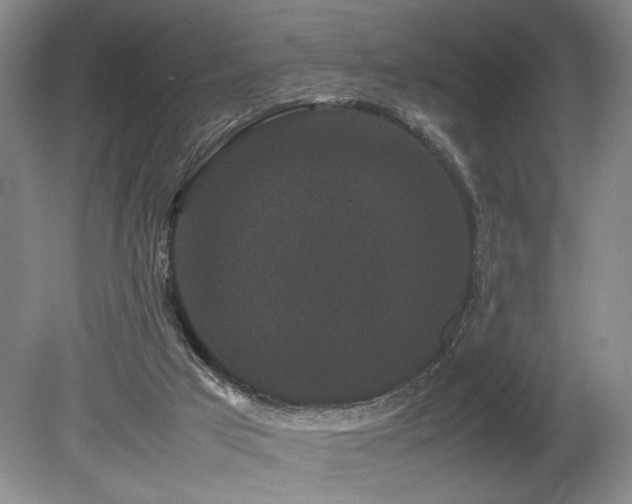 X0000078840017200611131200