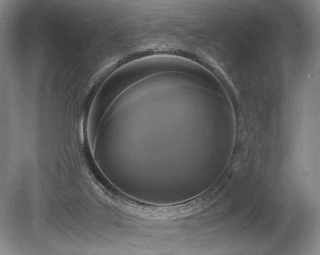 X0000078840019200611131200