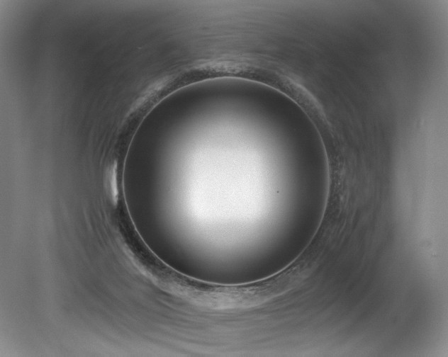 X0000078840020200611131200