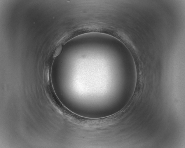 X0000078840021200611131200