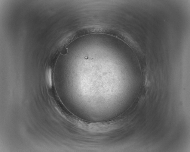 X0000078840022200611131200