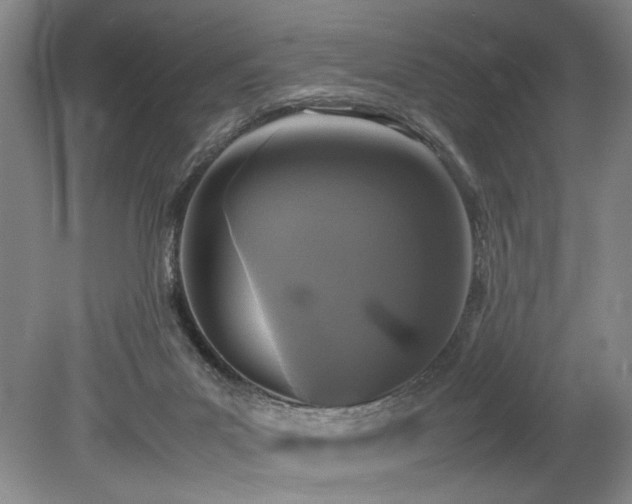 X0000078840023200611131200