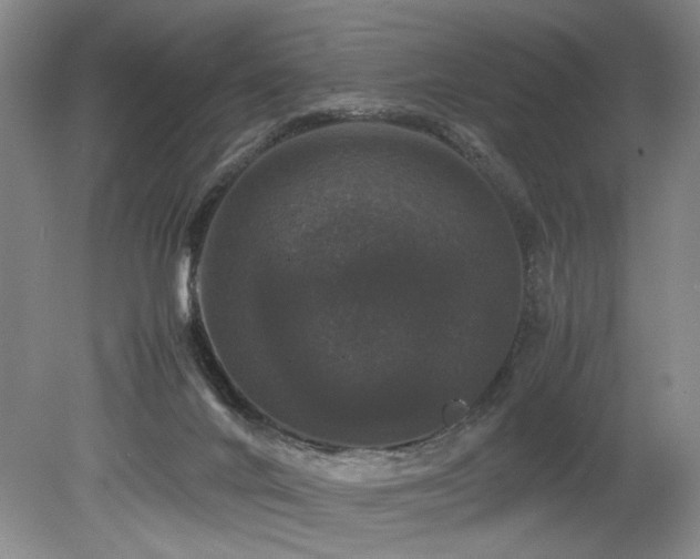 X0000078840024200611131200