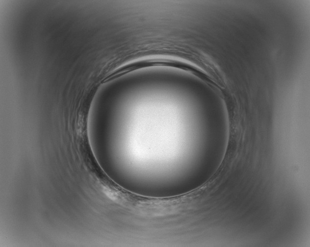 X0000078840025200611131200