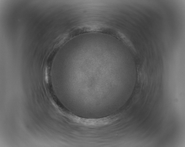 X0000078840026200611131200