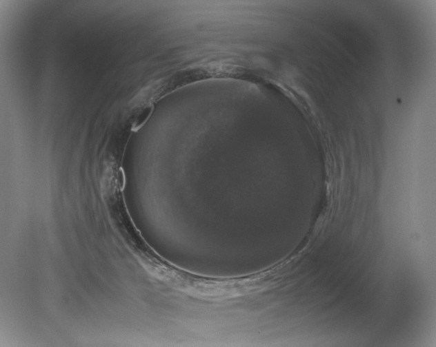 X0000078840029200611131200