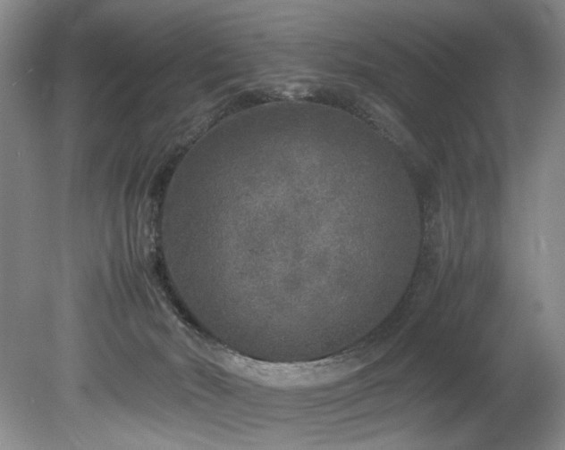 X0000078840030200611131200