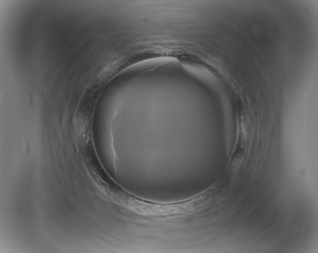 X0000078840031200611131200