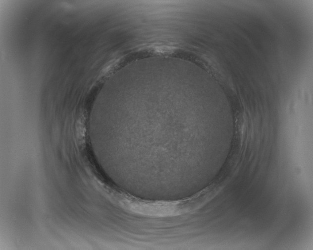 X0000078840032200611131200