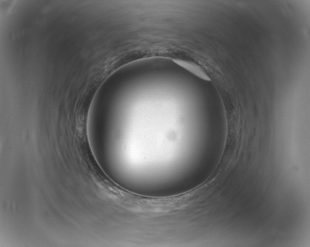 X0000078840033200611131200