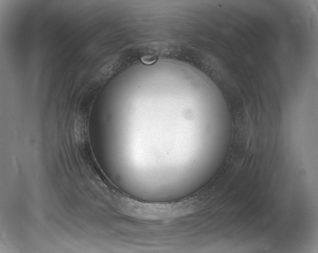 X0000078840034200611131200