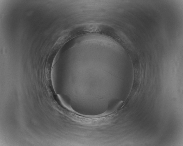 X0000078840035200611131200