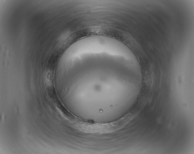 X0000078840036200611131200