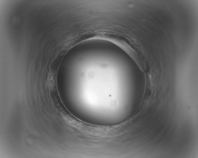 X0000078840037200611131200