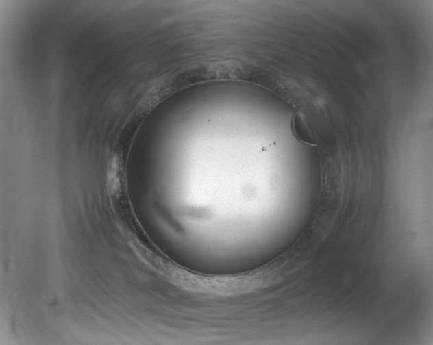 X0000078840038200611131200