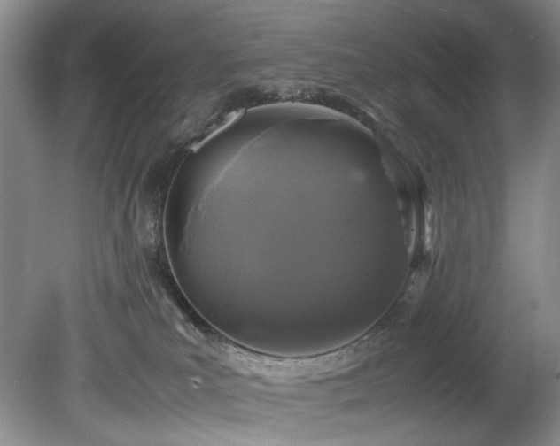 X0000078840039200611131200