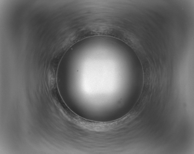 X0000078840040200611131200