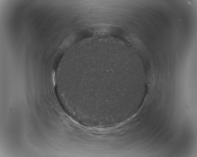 X0000078840041200611131200