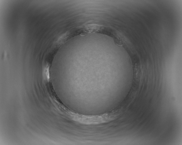 X0000078840042200611131200