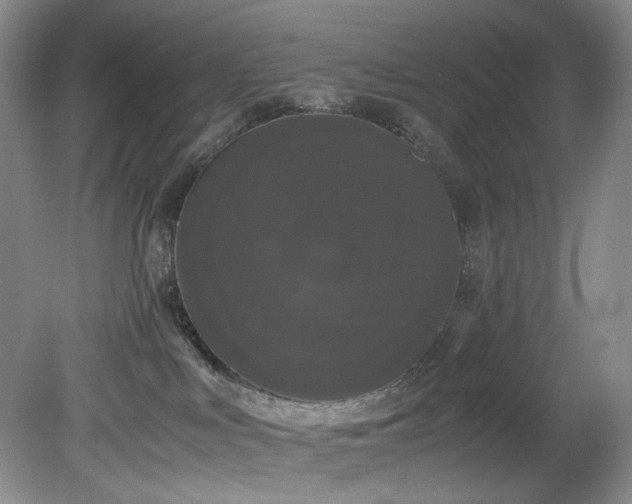 X0000078840043200611131200