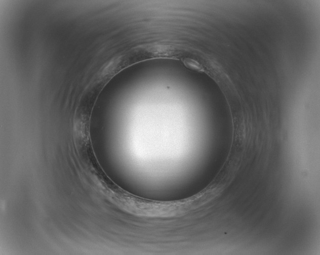 X0000078840044200611131200