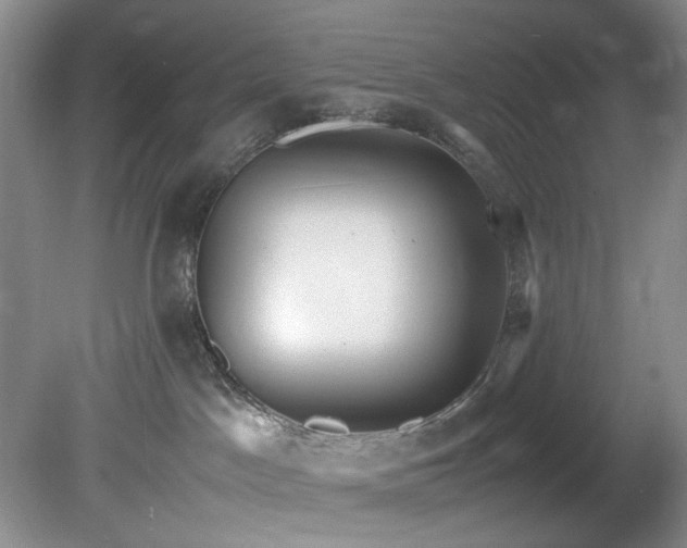 X0000078840045200611131200