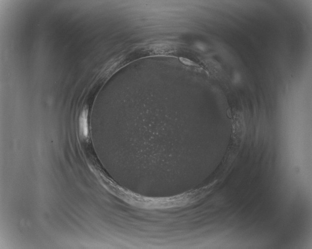 X0000078840046200611131200