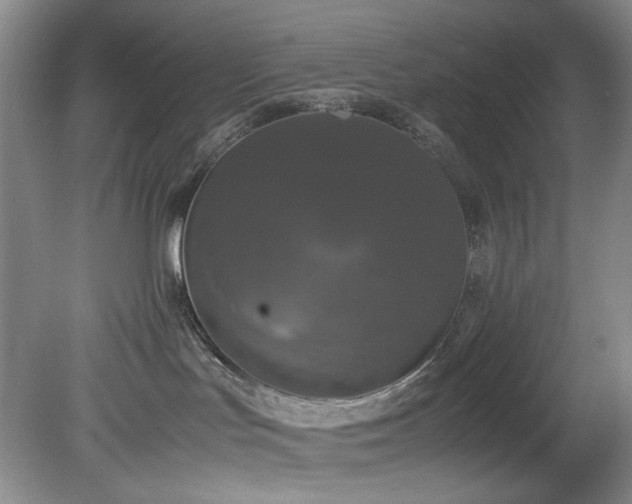 X0000078840047200611131200