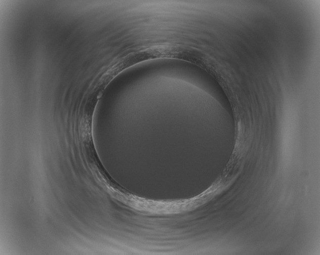 X0000078840048200611131200