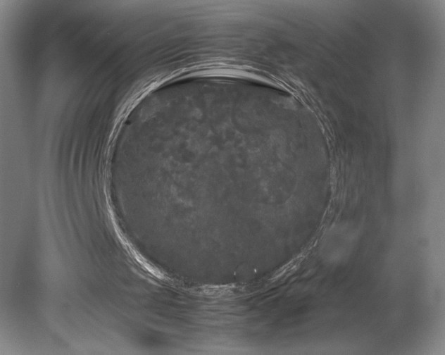 X0000078840049200611131159