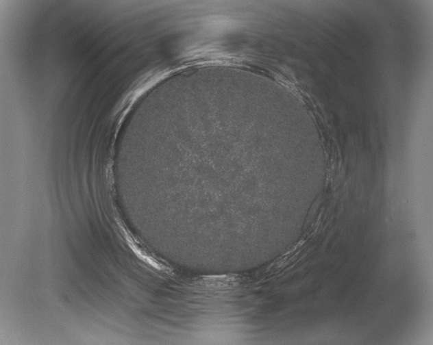 X0000078840050200611131159