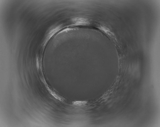 X0000078840051200611131159