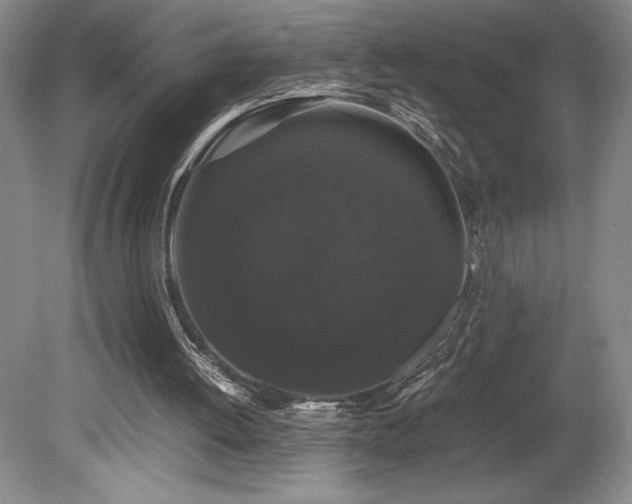 X0000078840052200611131159