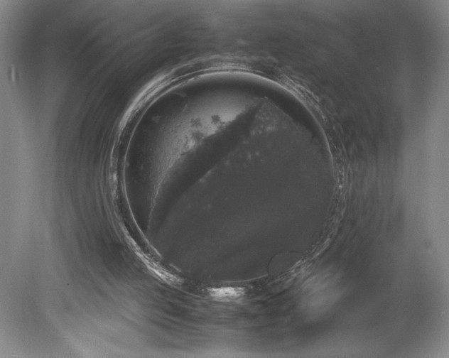 X0000078840053200611131159