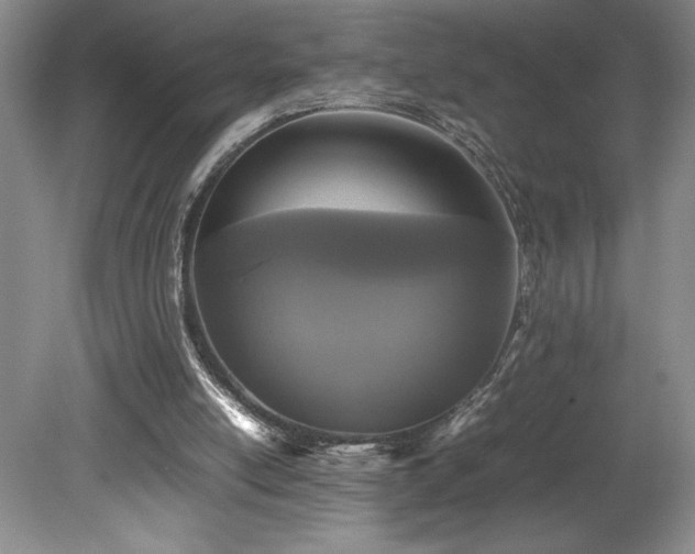 X0000078840054200611131159