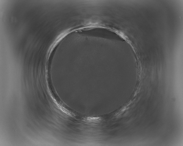 X0000078840055200611131159