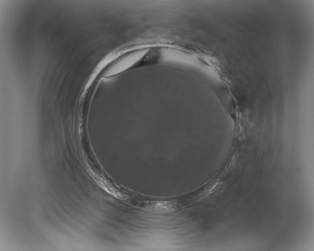 X0000078840056200611131159