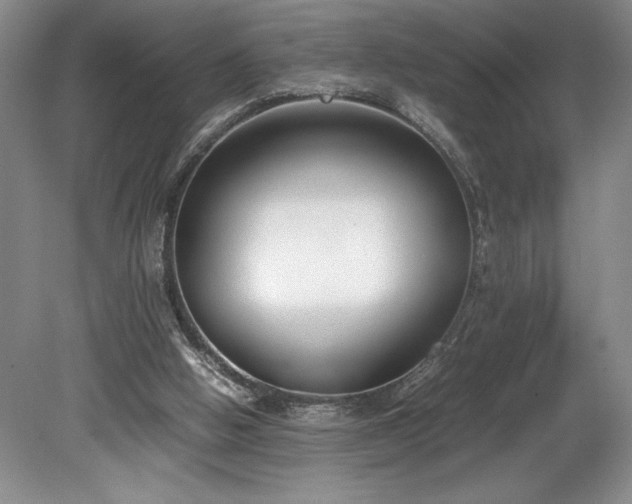 X0000078840058200611131159