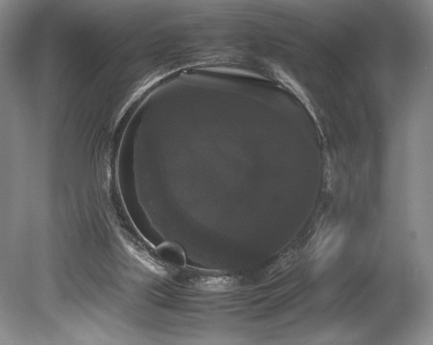 X0000078840059200611131159