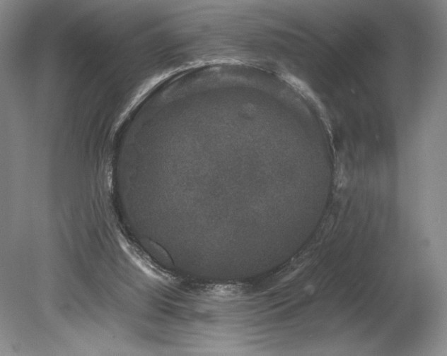 X0000078840060200611131159