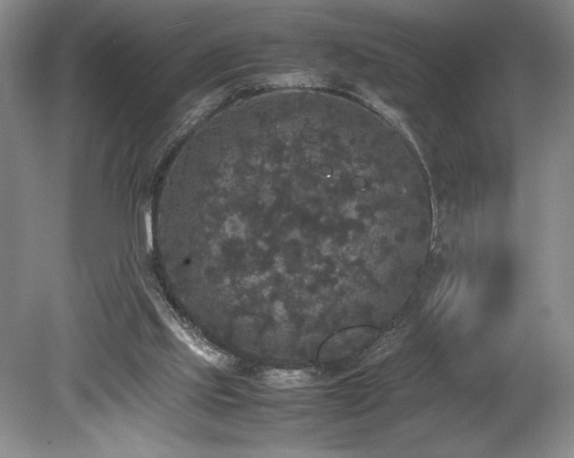 X0000078840061200611131159