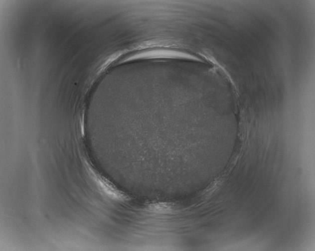 X0000078840062200611131159