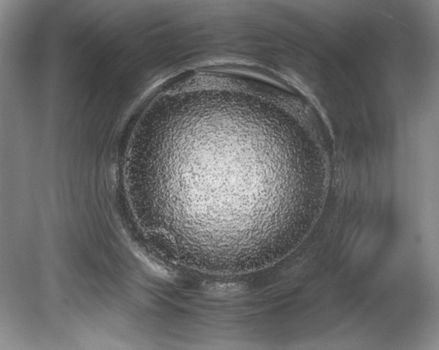 X0000078840063200611131159